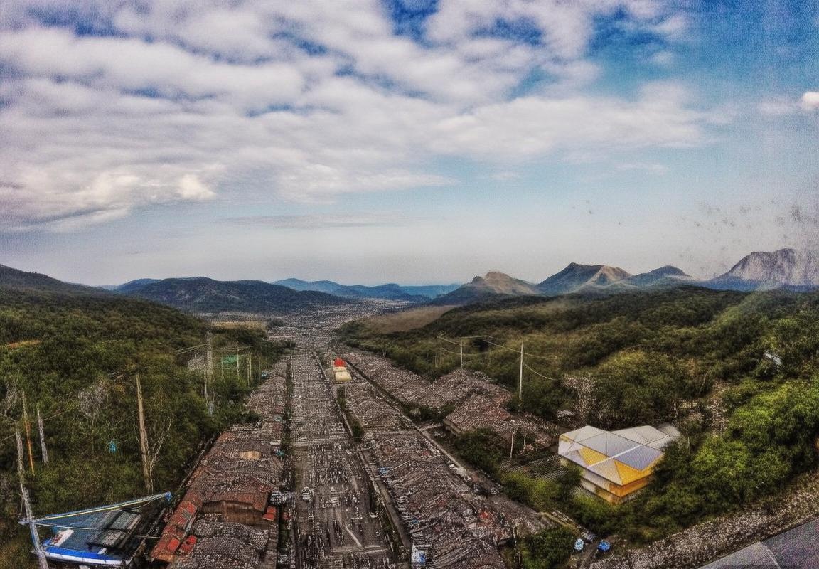 伐木者与堪萨斯：勇气与智慧的较量与启示(图2)